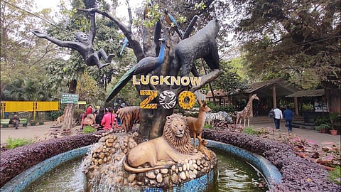 लखनऊ चिड़ियाघर के प्राकृतिक विज्ञान और टेराकोटा गैलरी को दिया जा रहा है नया आधुनिक रूप