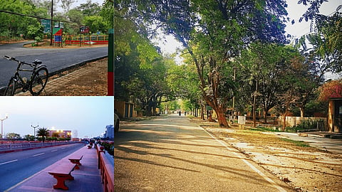 photo-collage.png (3) (1)