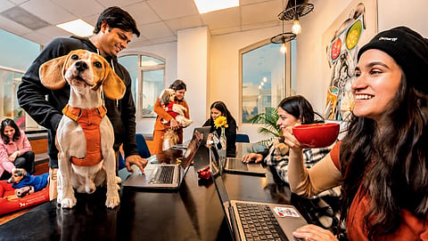Mumbai BMC launches ₹61,500/month fellowship for fresh graduates