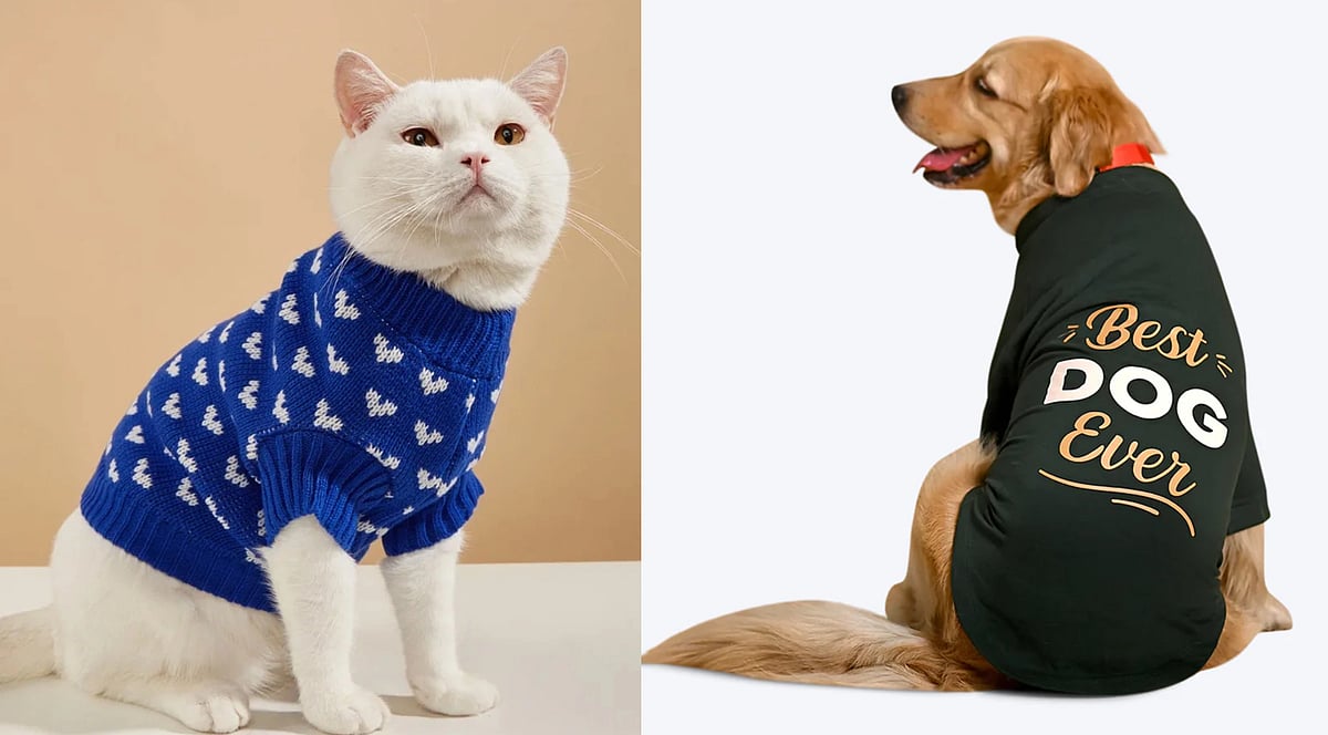 Cute & cozy: This winter, dress your furry friends in style with these snug pet clothing options