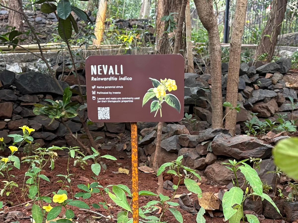 The Nest: Revamped with 8000 plants, Shantivan Gardens in Mumbai's