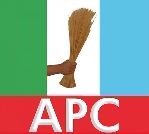 APC Flag Banner