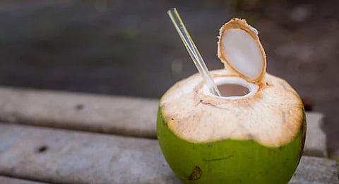 coconut