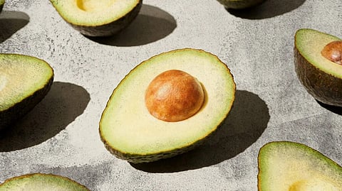 Avocado 