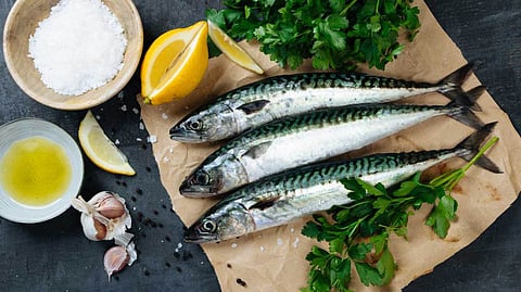 Omega 3 fish 