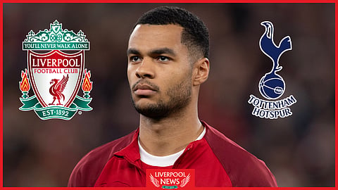 Liverpool forward Cody Gakpo was denied a penalty against Tottenham