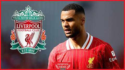Cody Gakpo has been steadily improving since joining Liverpool.