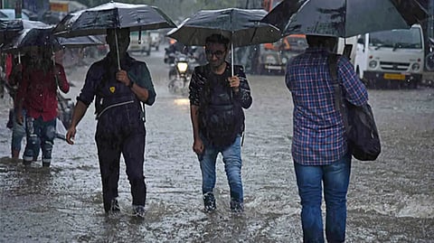 rain