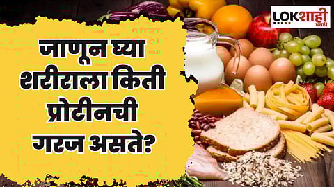 Health Tips : प्रोटीन खाल्ल्याने वजन कमी होण्यास मदत होते का? जाणून घ्या शरीराला किती प्रोटीनची गरज असते?