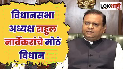 जयंत पाटलांनी दिलेल्या याचिकेवर विधानसभा अध्यक्ष राहुल नार्वेकरांचे मोठं विधान