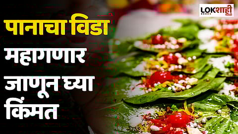 पानाचा विडा महागणार; पान दुपटीनं महागलं; जाणून घ्या किंमत