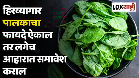 हिरव्यागार पालकाचा फायदे ऐकाल तर लगेच  आहारात समावेश कराल