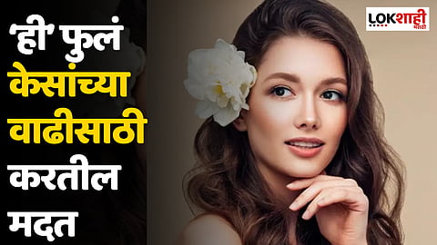 ‘ही’ फुलं केसांच्या वाढीसाठी करतील मदत