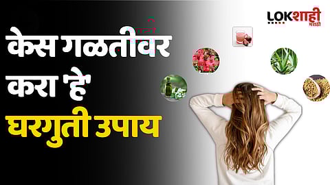 Hair Fall Remedies : केस गळतीवर करा 'हे' घरगुती उपाय 