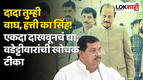 दादा तुम्ही वाघ, हत्ती का सिंह! एकदा दाखवूनचं द्या; वडेट्टीवारांची खोचक टीका