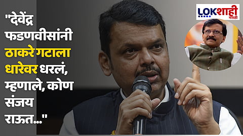 Devendra Fadnavis On Sanjay Raut