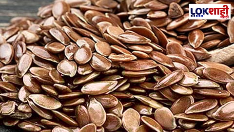 जवसाचे 'हे' फायदे तुम्हाला माहित आहेत का? जाणून घ्या 