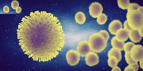 X Flu Outbreak