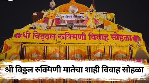 वसंत पंचमीच्या शुभ मुहूर्तावर श्री विठ्ठल रुक्मिणी मातेचा शाही विवाह सोहळा 