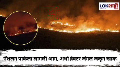 National Park Fire : तळीरामाचा प्रताप! होळी साजरी करताना बोरिवलीतील नॅशलन पार्कला लावली भीषण आग