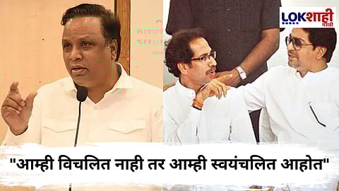 ठाकरे बंधूंच्या एकत्र येण्यावर आशिष शेलार यांची प्रतिक्रिया, म्हणाले...
