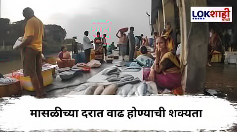 Fishing Rules : समुद्रातील मासेमारी बंद ; 
शासनाचे आदेश जारी, दरात होणार वाढ ? 