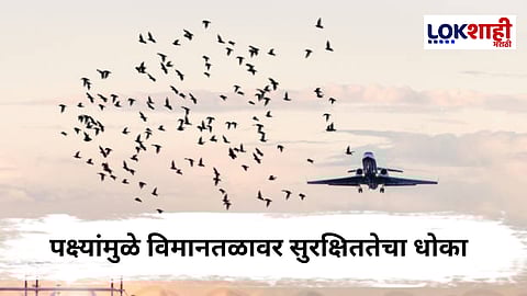 Pune Airport : पुणे विमानतळावर पक्ष्यांचा  थवा ! विमान वळवावे लागले; सुरक्षिततेबाबत प्रश्नचिन्ह