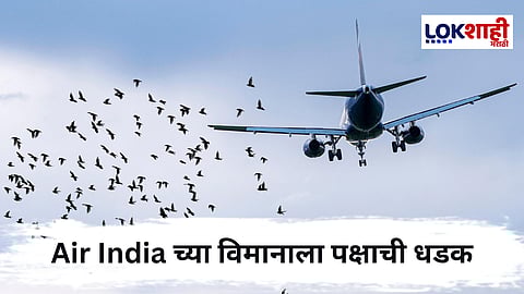Air India च्या विमानाला पक्षी धडकला आणि...; तब्बल 8 उड्डाणे रद्द, नेमकं काय घडलं ?  