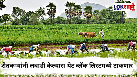 Crop Insurance Update : शेतकऱ्यांच्या लबाडीसाठी त्यांना थेट काळ्या यादीत स्थान; पीकविमा योजनेसंदर्भात नवीन घोषणा                            