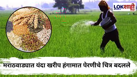 Marathwada Grains Rate : मराठवाड्यात खरीप हंगामात सोयाबीन आघाडीवर; कापूस स्थिर, ऊस व ज्वारी क्षेत्रात मोठी घट; तूर-उडीद कायम