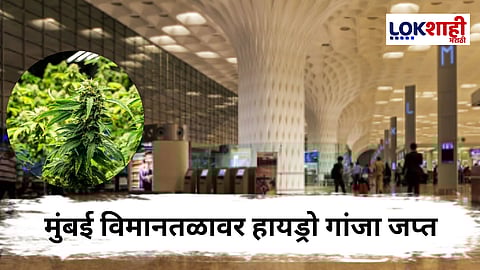 Mumbai Airport 