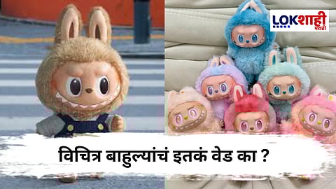 Labubu Doll : का आहे 'लबुबू डॉल'ची क्रेझ ?  ; विचित्र दिसणाऱ्या बाहुलीसाठी लोक लाखो रुपये का मोजतायत?