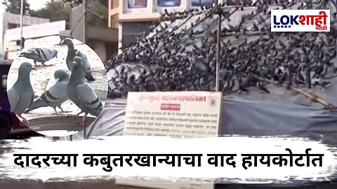 Dadar Kabutar khana