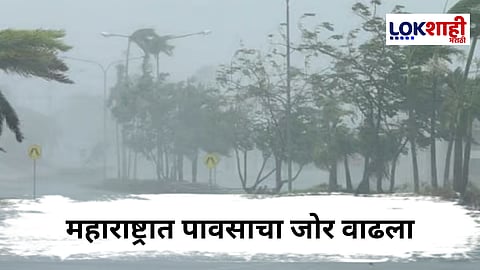 Rain Update