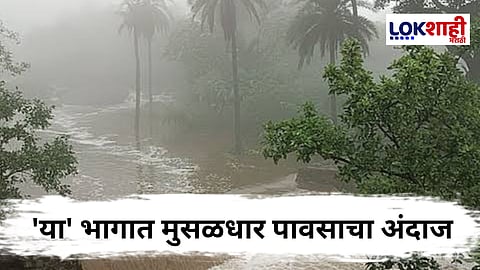 Rain Update