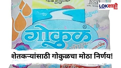 Kolhapur : गणेशोत्सवात शेतकऱ्यांना दिलासा