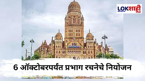 BMC Election
