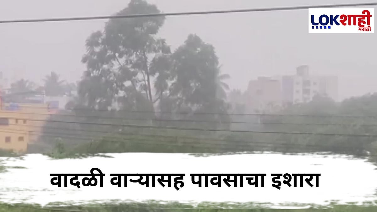 Maharashtra Weather Update