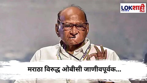 Sharad Pawar : मराठा विरुद्ध ओबीसी जाणीवपूर्वक...,नेमकं काय म्हणाले पवार ?
