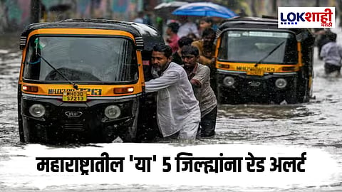 IMD Weather update : महाराष्ट्रावर पावसाचं संकट; 5 जिल्ह्यांना इशारा