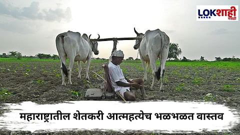 Farmer Suicide : महाराष्ट्रातील शेतकरी आत्महत्येचं भयावह वास्तव;एनसीआरबीचा धक्कादायक अहवाल