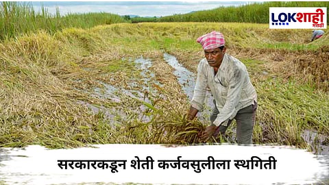 
Loan Recovery Stay : सरकारकडून शेतकऱ्यांना मोठा दिलासा, शेती कर्जवसुलीला स्थगिती