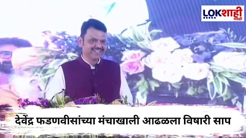 Pune symbiosis college : सिम्बॉयसिसच्या कार्यक्रमात फडणवीसांच्या मंचासमोर आढळला साप