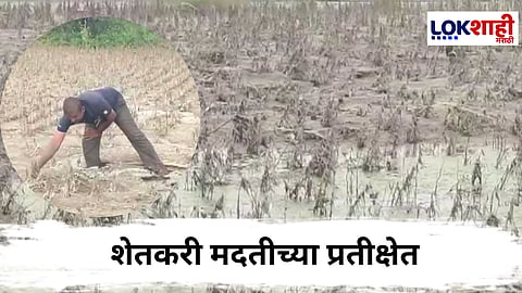 Solapur Farmers 