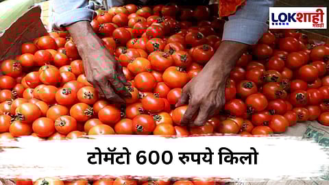 Tomato Price Hike : पाकिस्तानात टोमॅटो 600 रुपये किलो, किमतीत 400 टक्क्यांनी वाढ