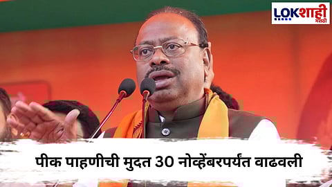 Chandrashekhar Bawankule : राज्यात पीक पाहणीला 30 नोव्हेंबरपर्यंत मुदतवाढ; बावनकुळेंचे जिल्हाधिकाऱ्यांना आदेश
