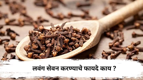 CloveForHealth : लवंग बदलत्या ऋतूंमध्ये ‘या’ 5 आजारांपासून करणार संरक्षण 