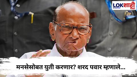 Sharad Pawar : आगामी निवडणूकीत मनसेसोबत युती करणार का? शरद पवार म्हणाले...  