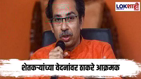 :Uddhav Thackeray On Parth Pawar Pune Land Scam :