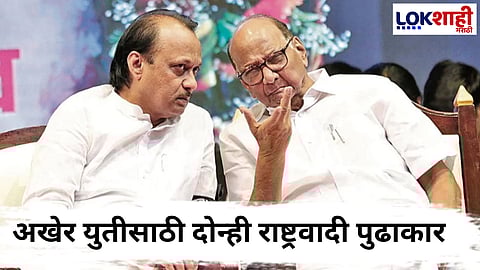 NCP Ajit Pawar and Sharad Pawar : मोठी बातमी! पवार आता एकत्र लढणार पत्रकार परिषदेमध्ये केली मोठी घोषणा